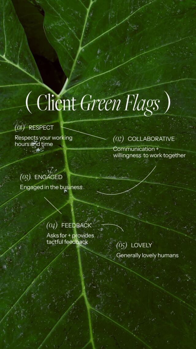 There’s such a thing as #client #greenflags。 🌿 Working as a consultant and agency along founders is an intimate experience - here are a few things we keep an eye out for ✅